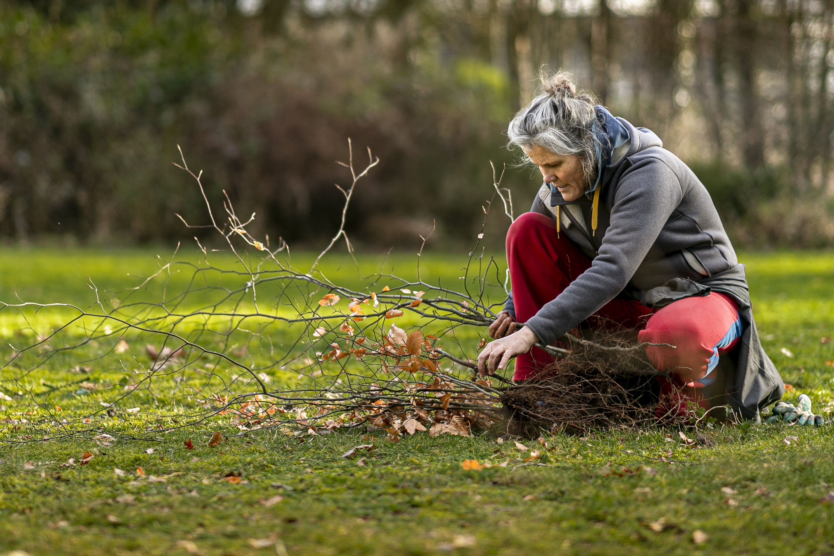 Regio team Utrecht - Meer Bomen Nu